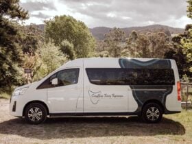 Ride along in comfort in our modern, air conditioned 11-seater van.