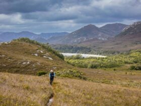 A lone man walks along a winding trail in Tasmania, overlooking a vast port with towering mountains