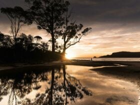 Sunrise on Bruny Island, Tasmania. Day Tours Tasmania, food tours