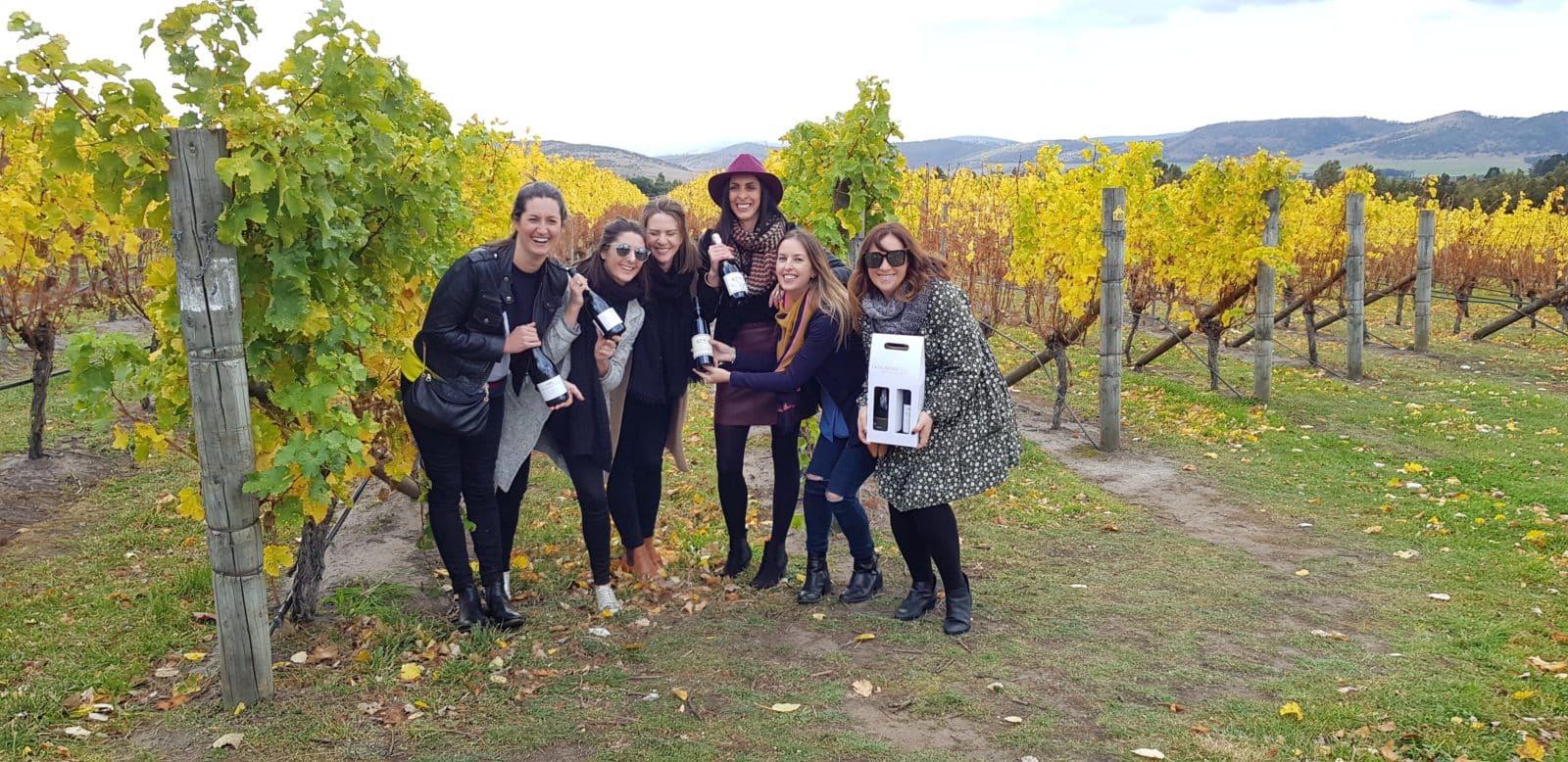 Daytripperz Tasmania