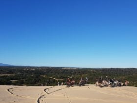 Dirt Trax Tas - Sand dunes