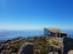 Summit Mt Wellington for panoramic views with Fun Tassie Tours.