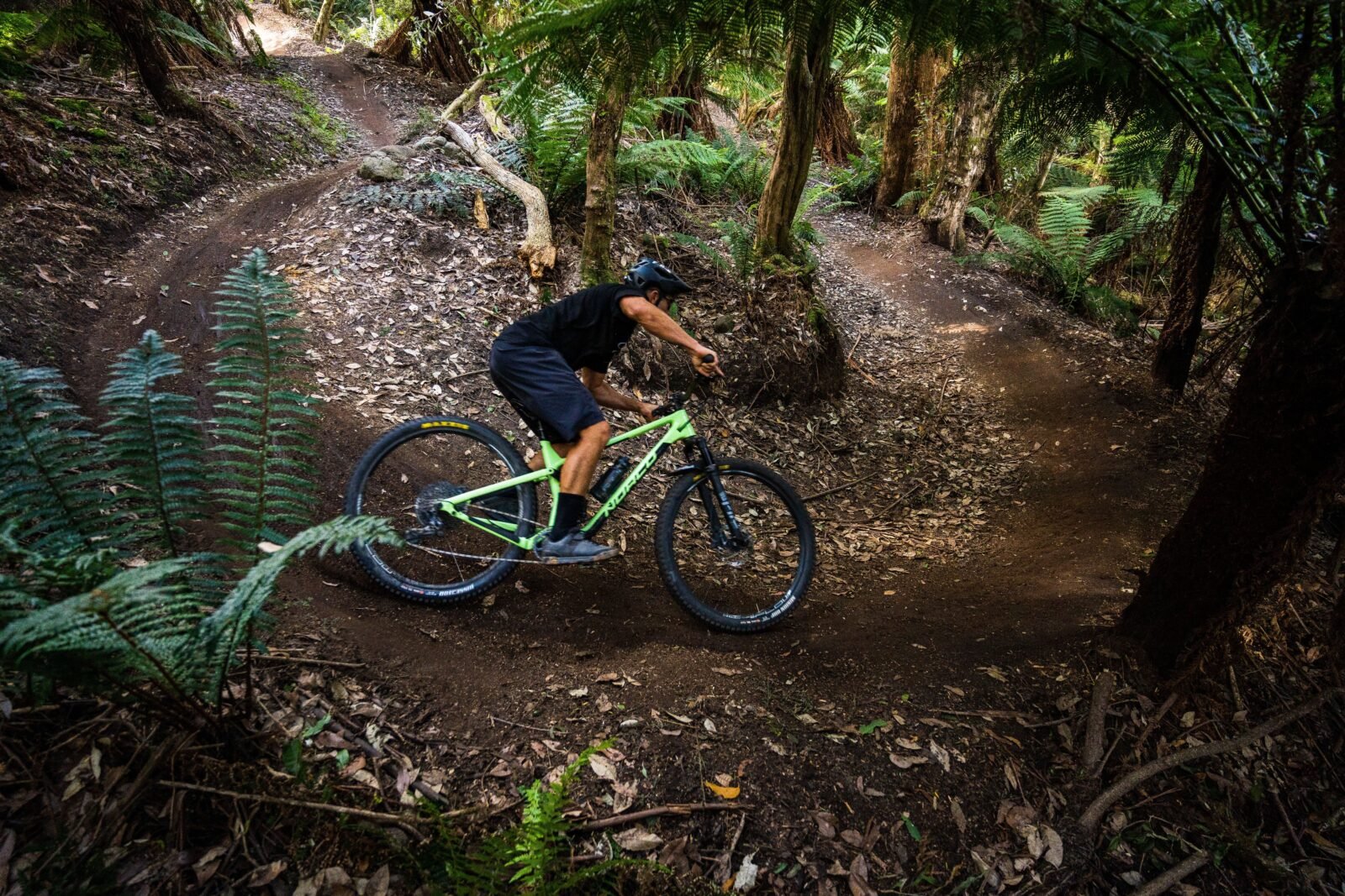 Ant on BOF Trail