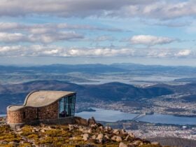 Mt Wellington