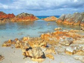 Bay of fires Walk Day 2 at Eddystone Point
