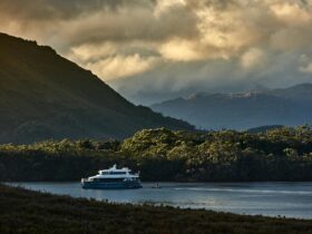 Expedition Vessel Odalisque III in Bathurst Harbour.