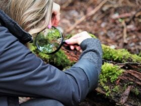 Girl look sat moss through a magnifying glass