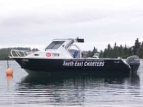 South East Charters