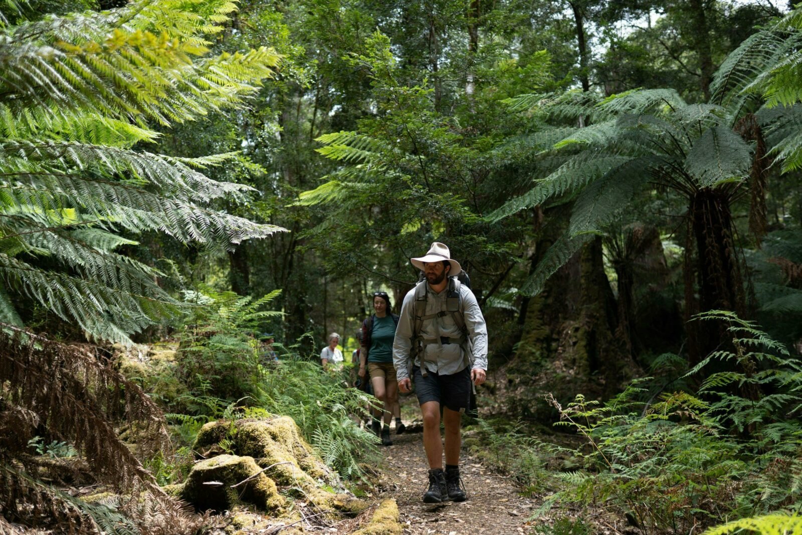 Tarkine Trails
