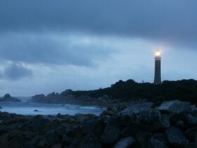 Eddystone Point at dawn