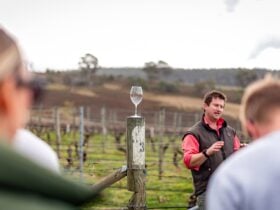 Derwent Valley Winery Experience Incentive Group