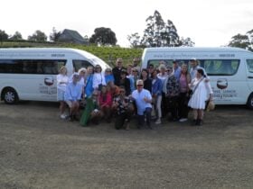 Long lunch wine tour