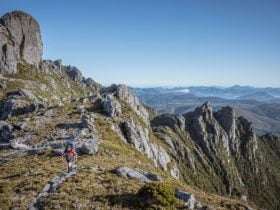 Trek Tasmania