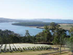 Scenic winery on the banks of the Tamar River