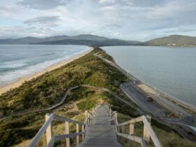View From Top of The Neck