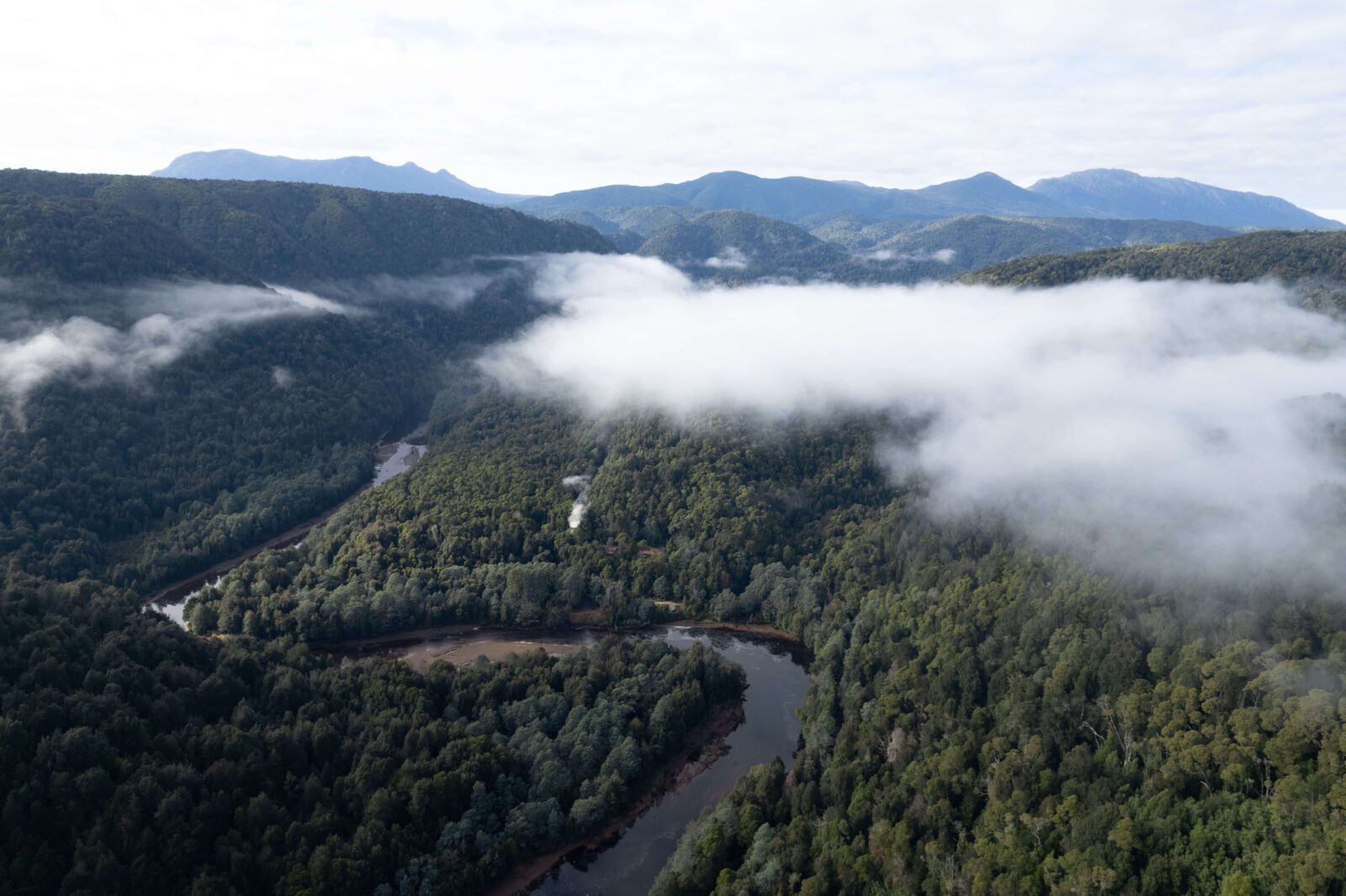 Drone image of river snaking through rainforest