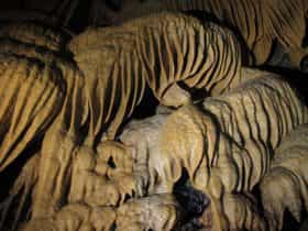 Wild Cave Tours
