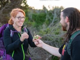 wukalina Walk is a palawa owned and guided walking and cultural experience in NE lutruwita/Tas