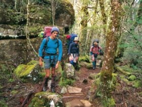 Access to Cradle Mt National Park Overland Track