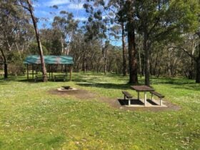 Picnic table, with shelter in background, surrounded by forest
