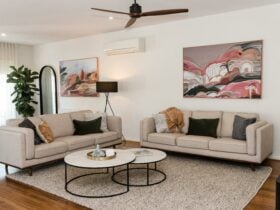 Comfy, modern sofas, coffee table, art and plant in lounge room space