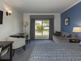 Executive Queen Room