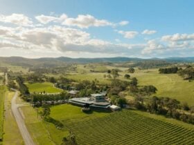 Balgownie Estate Yarra Valley