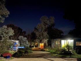 Cabins at night time