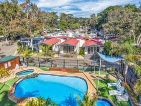 BIG4 Ingenia Holidays Torquay Pool