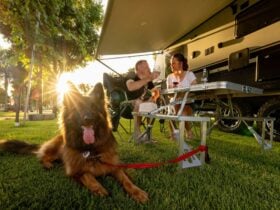 Couple and their dog resting at a vine site