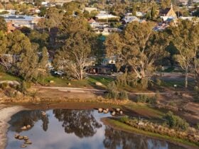 Holiday Park in Rutherglen adjacent to Lake King Wetlands