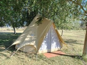 2-person tent