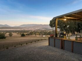 Cow room view 2