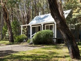 Cabin