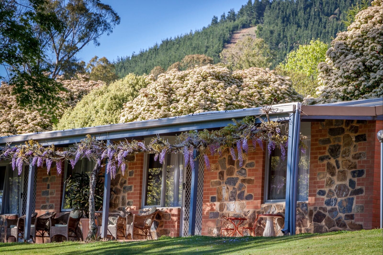 Stone featured units under Mystic Mt with veranda and wisteria