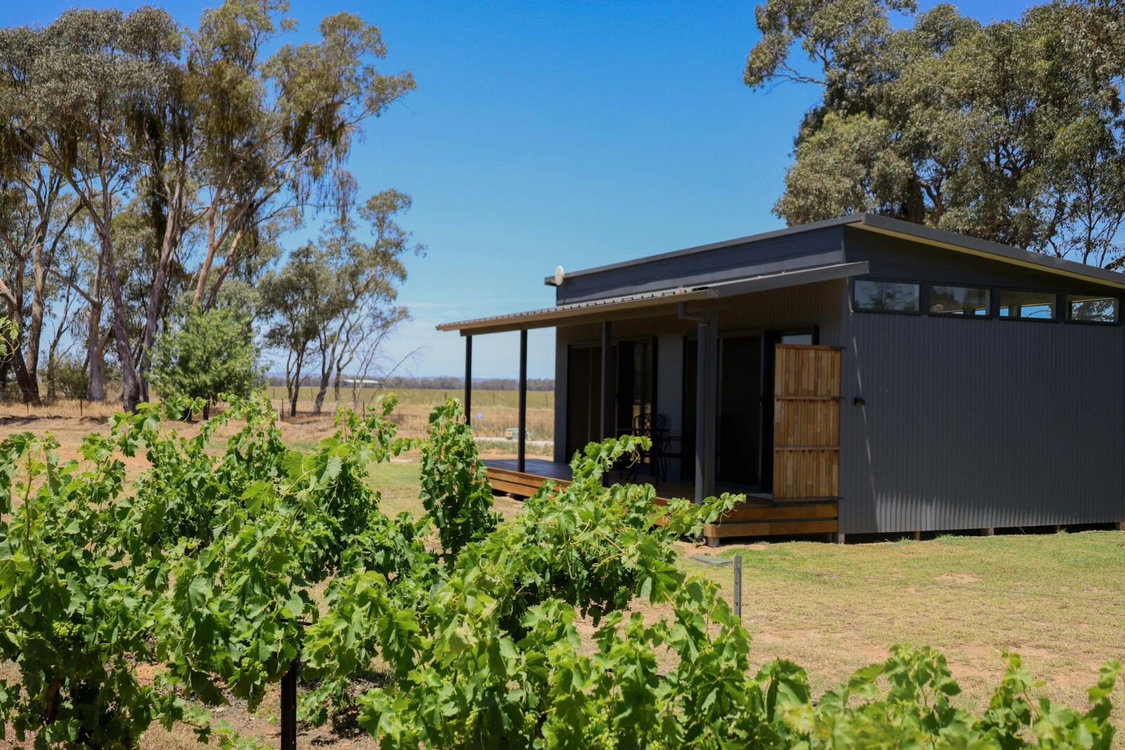 Buller Wines Vineyard View Suite looking out to vineyard