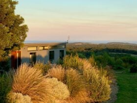 Enjoy stunning views of the 12 Apostles coastline