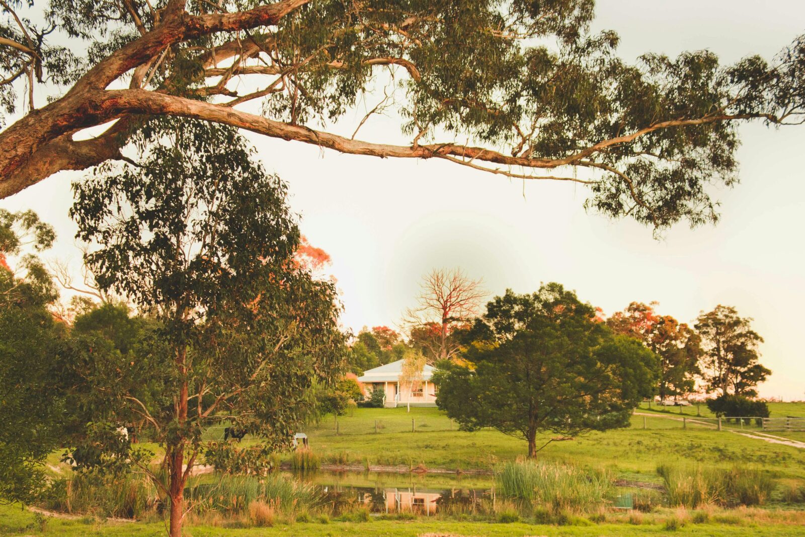 Country House