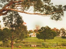 Country House