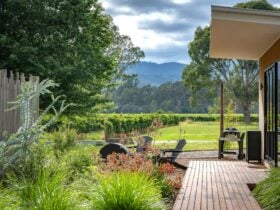 Dal Zotto Wines Petite Retreat Accommodation vineyard views