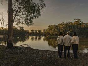 Discovery Parks- Echuca
