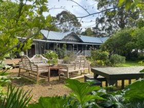 Forrest Guesthouse