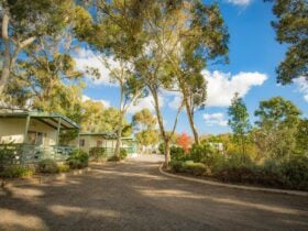 Pyrenees Caravan Park