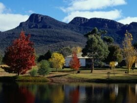 Autumn colours and the Grampians thrid highest mountain, Redman Bluff from Grampians Paradise