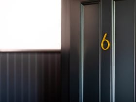 Room 6 Cameo