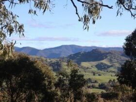 Stunning views of the Howqua Valley
