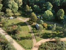 An aerial view of James Reserve showing trees, grass and campers.
