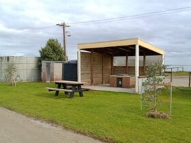 Grassed BBQ Area