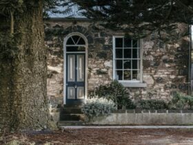 Random stone cottage under the giant Norfolk pine in the late afternoon light