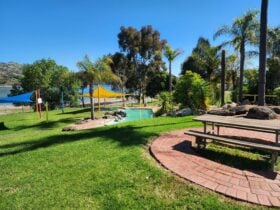 Image of Pool area